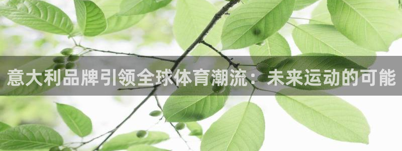 bsports必一运动