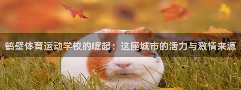 必一运动bsport体育