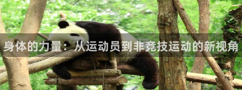 必一运动体育官网入口