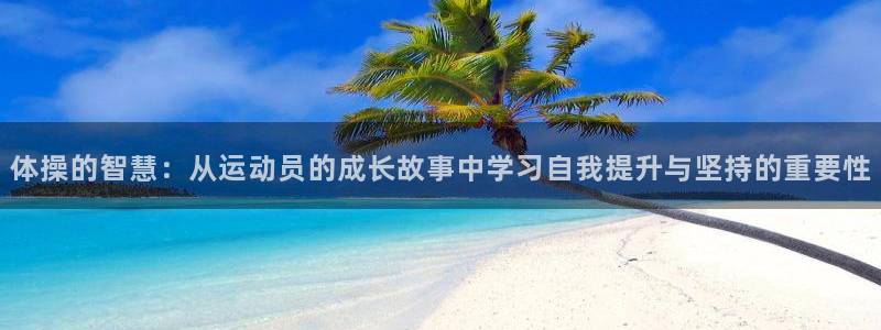 必一运动体育官网