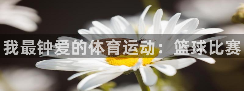 必一运动体育官网入口：我最钟爱的体育运动：篮球比赛
