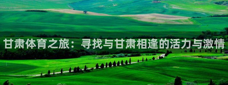 bsport必一运动：甘肃体育之旅：寻找与甘肃相逢的活力与激情
