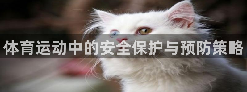 必一运动体育官网：体育运动中的安全保护与预防策略