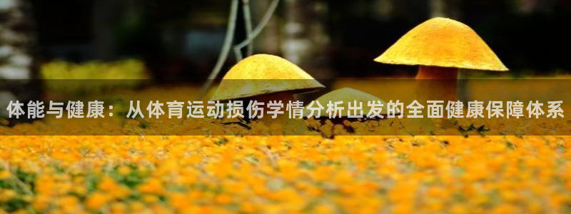必一运动体育官网入口：体能与健康：从体育运动损伤学情分析出发的全面健康保障体系