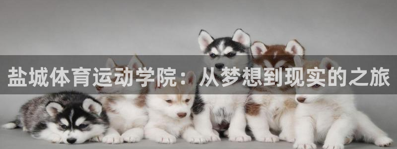 bsports必一运动：盐城体育运动学院：从梦想到现实的之旅
