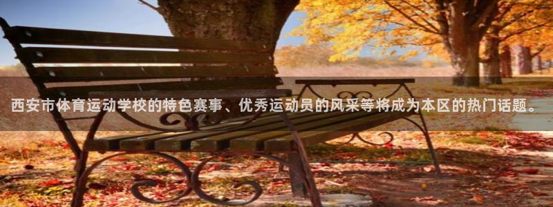 必一运动app：西安市体育运动学校的特色赛事、优秀运动员的风采等将成为本区的热门话题。